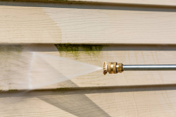 Best Roof Pressure Washing  in Vashon, WA