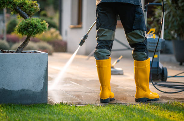 Best Exterior Home Cleaning  in Vashon, WA